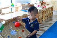 Lĩnh vực văn hóa trong phương pháp giáo dục Montessori tại VIETLAND SCHOOL